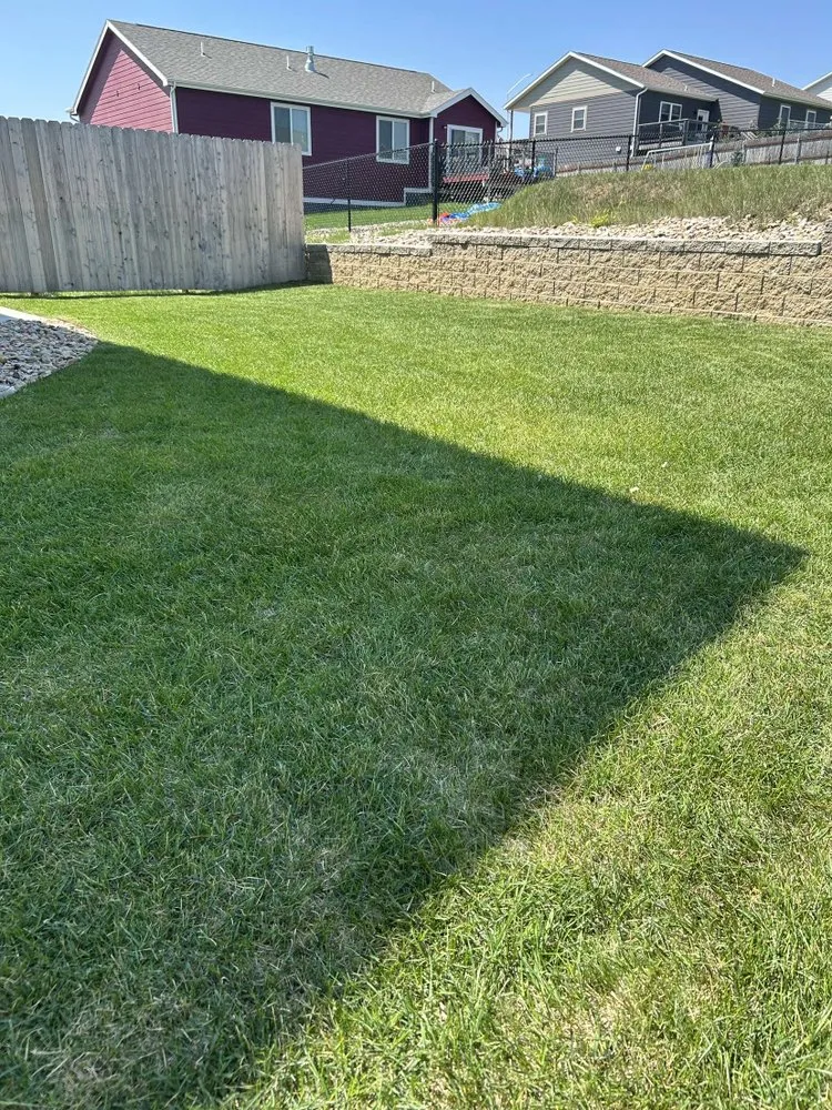 Top-rated yard maintenance experts serving Rapid City, SD - Rapid City Lawns
