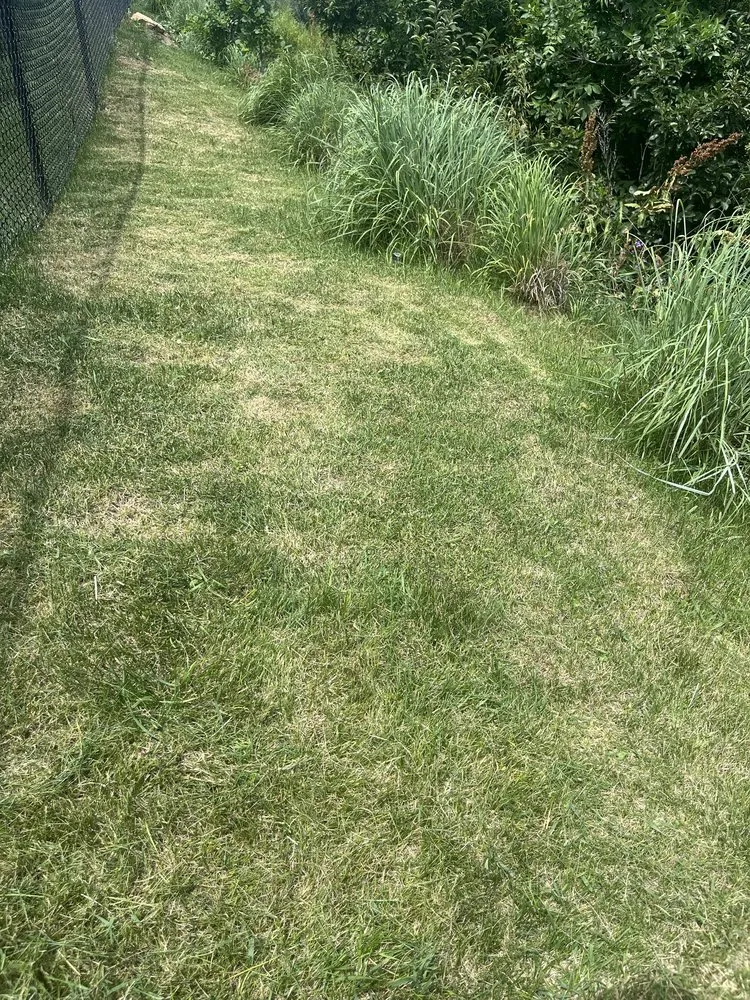 Trusted garden landscaping in Rapid City, SD - Rapid City Lawns