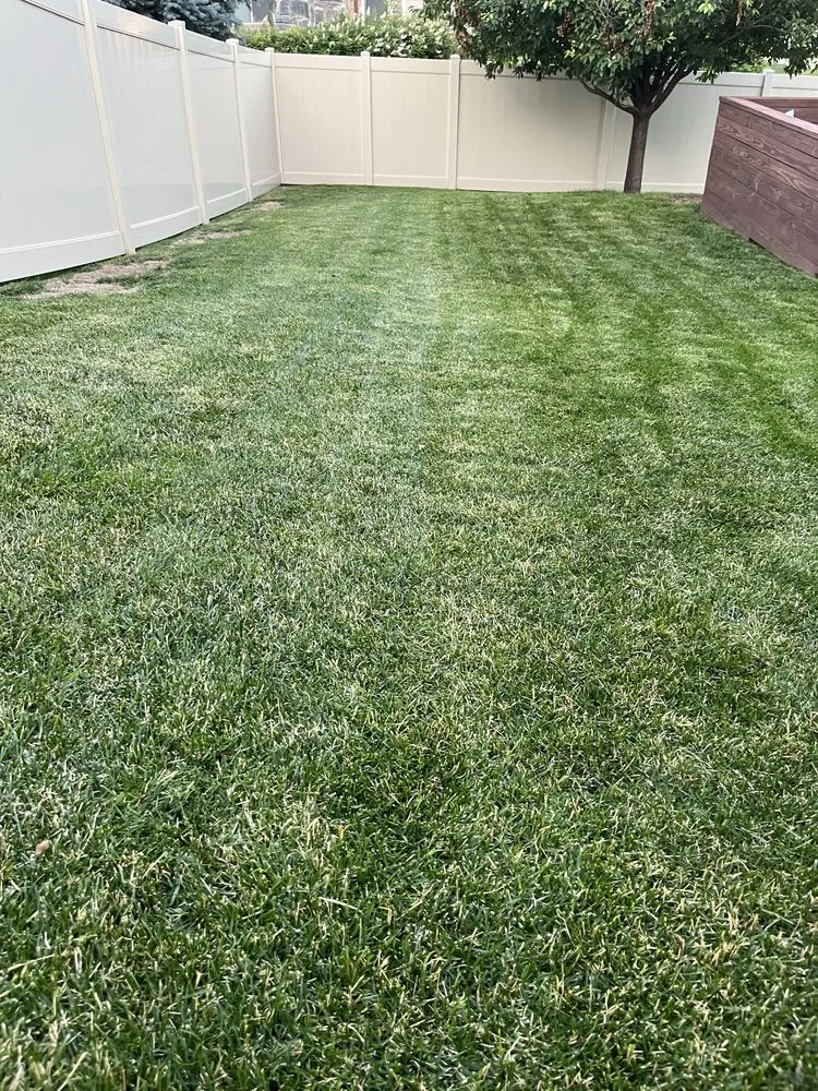 Custom landscaping services for residential properties across Rapid City, SD - Rapid City Lawns