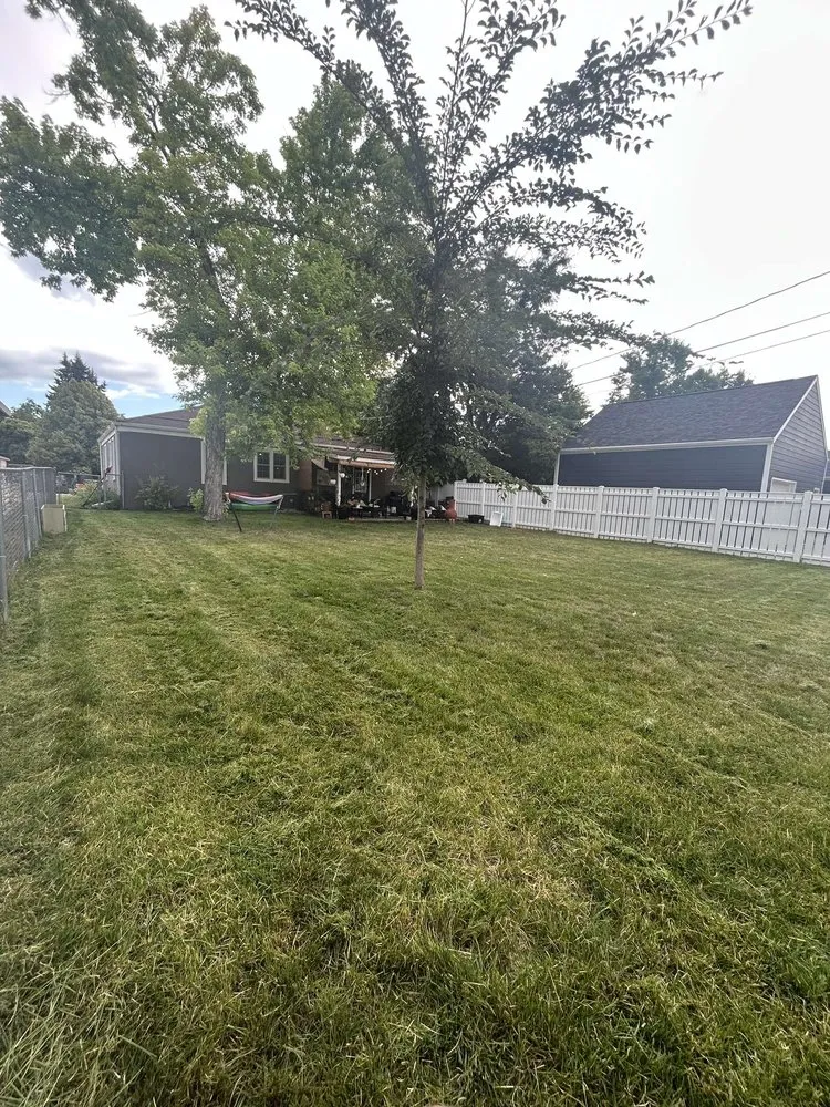 Reliable landscape design experts serving Rapid City, SD - Rapid City Lawns