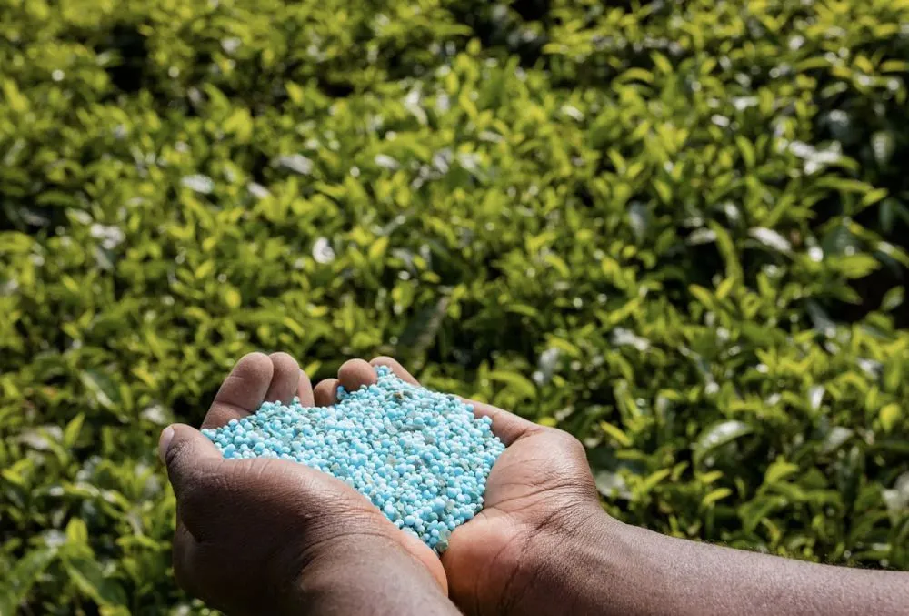 Expert outdoor landscaping experts serving Pataskala, OH - Rapid Control