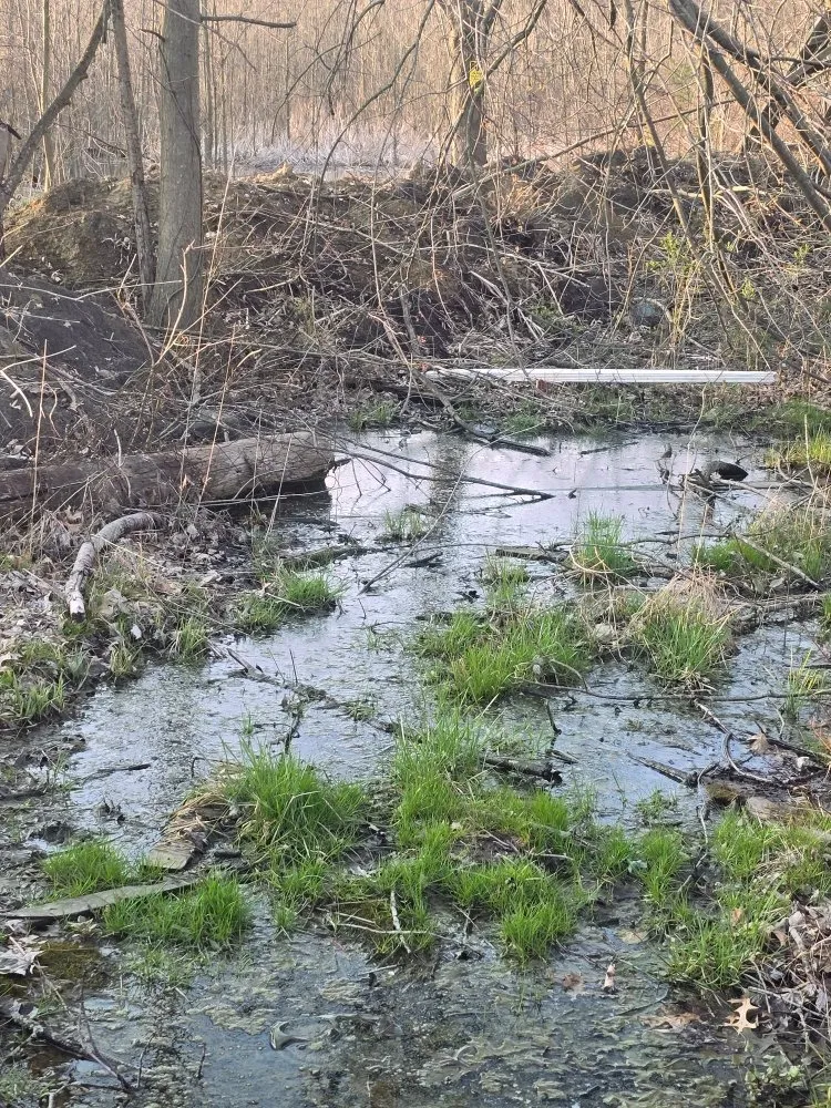 Local lawn mowing service in Pataskala, OH - Rapid Control