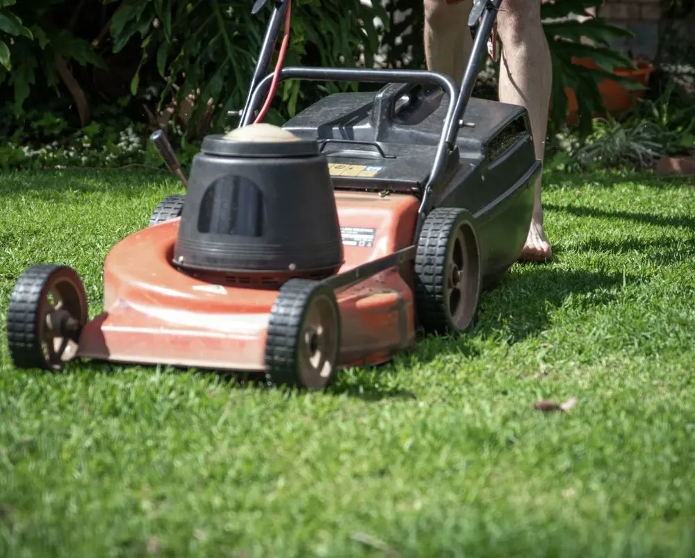 Local lawn care service in Pataskala, OH - Rapid Control