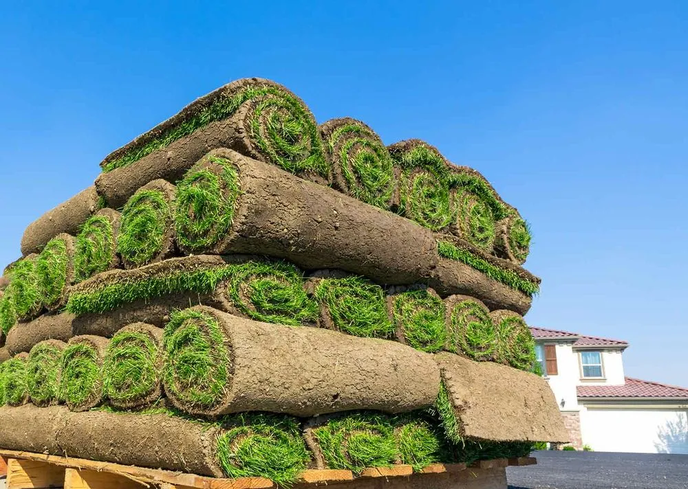 Local yard cleanup service in Wakonda, SD by Rapid Creek Sod