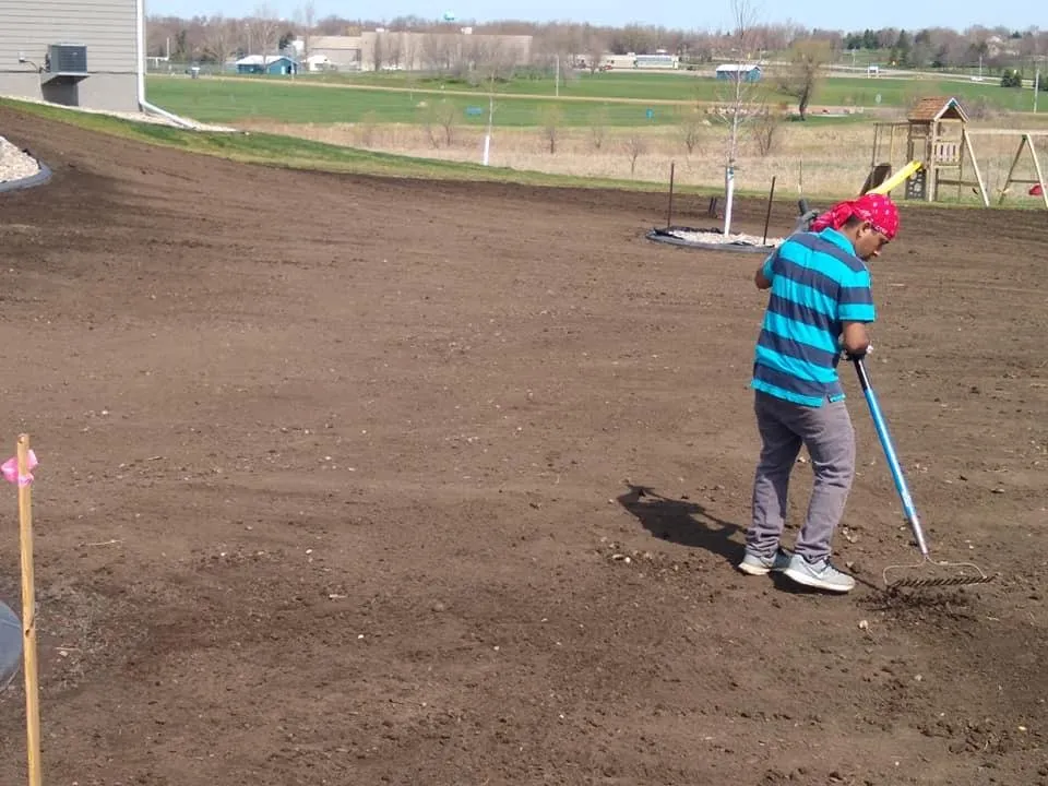 Expert landscape installation for year-round maintenance across Wakonda, SD - Rapid Creek Sod