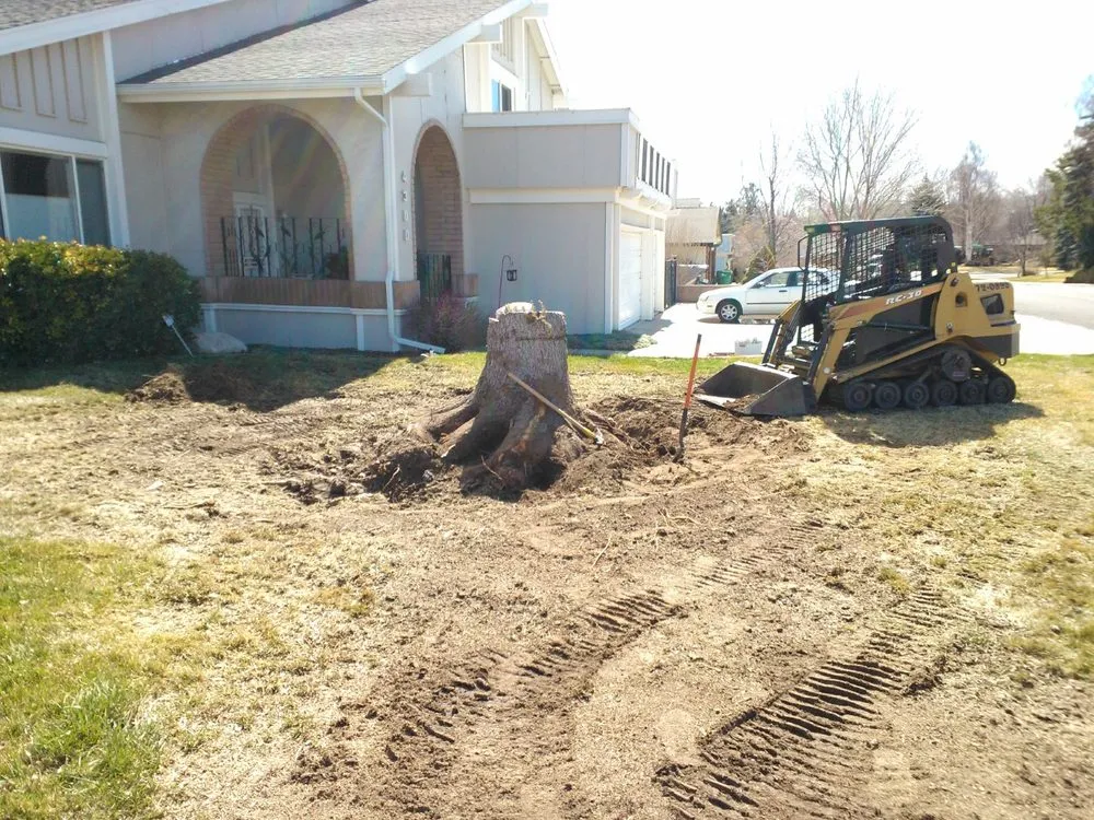 Expert garden landscaping for beautiful yards in Sparks, NV by Rapid Landscape Removal