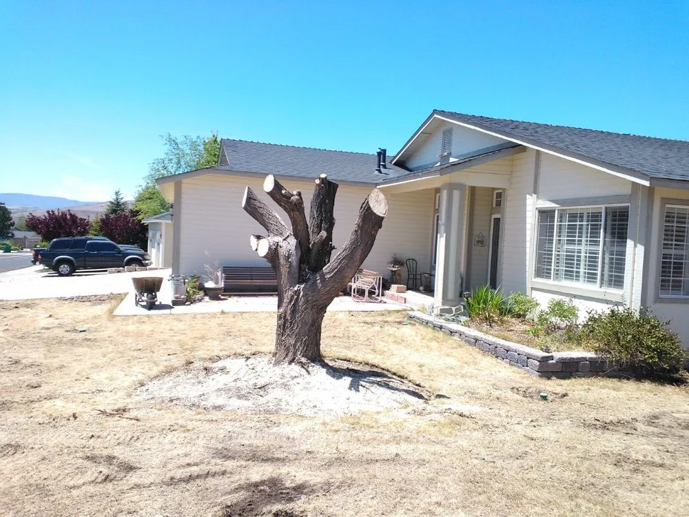 Expert residential landscaping experts serving Sparks, NV - Rapid Landscape Removal