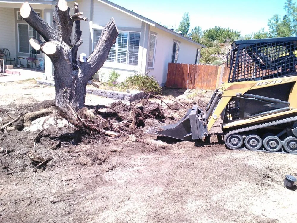 Professional lawn mowing service for beautiful yards across Sparks, NV - Rapid Landscape Removal