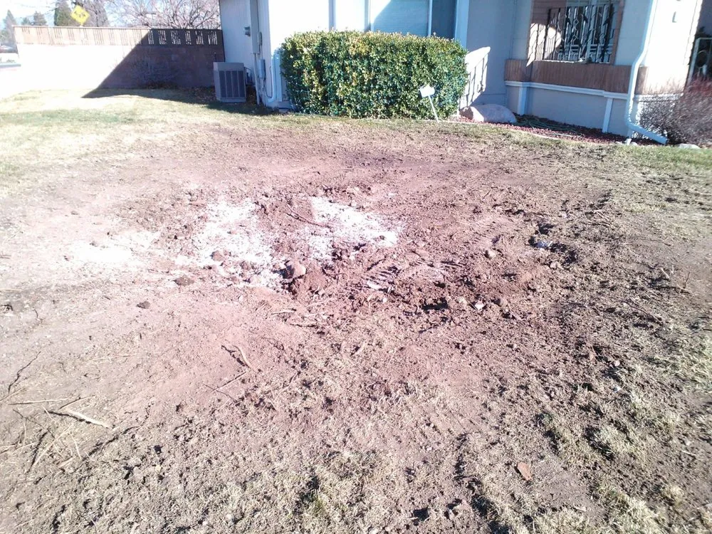 Expert landscaping services experts serving Sparks, NV - Rapid Landscape Removal