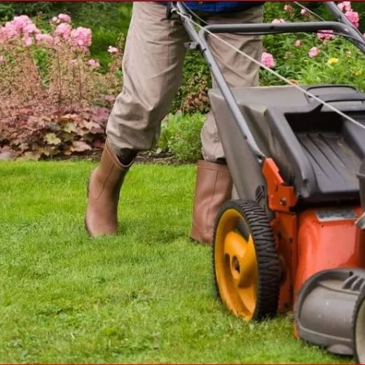 Affordable yard cleanup service for outdoor upgrades across Crest Hill, IL - Rapid Landscaping