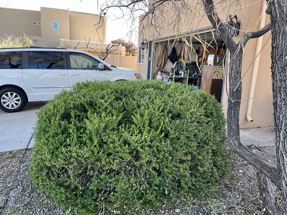 Top-rated landscape design with custom design in Albuquerque, NM by Rapid Lawn Care