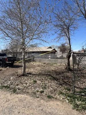 Rapid Lawn Care Logo