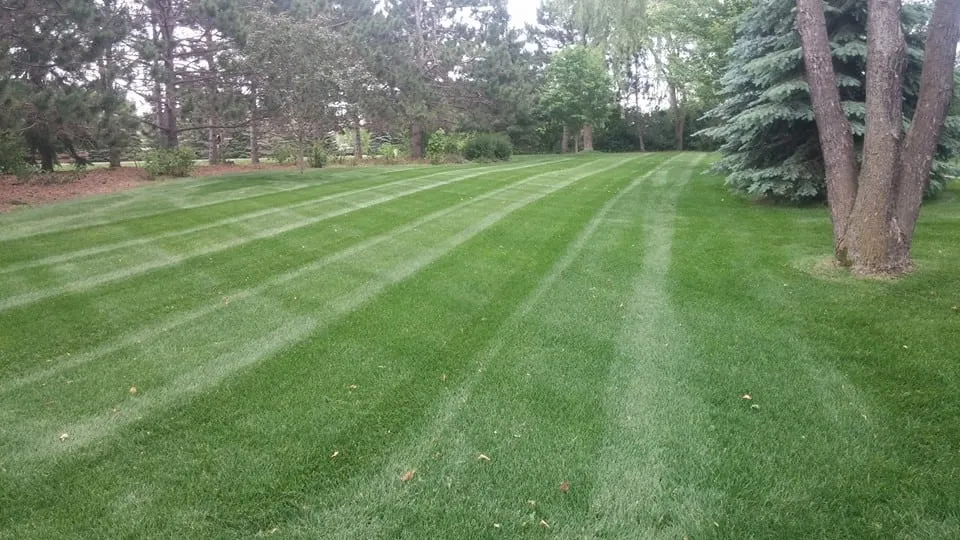 Reliable landscape installation in Oak Grove, MN by Rapid Lawn Care