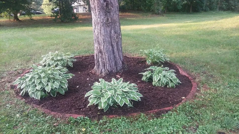 Affordable garden landscaping in Oak Grove, MN by Rapid Lawn Care