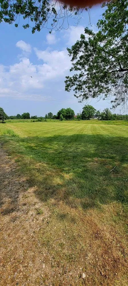 Trusted yard cleanup service for residential properties in Brown City, MI by Rapid Lawn Maintenance