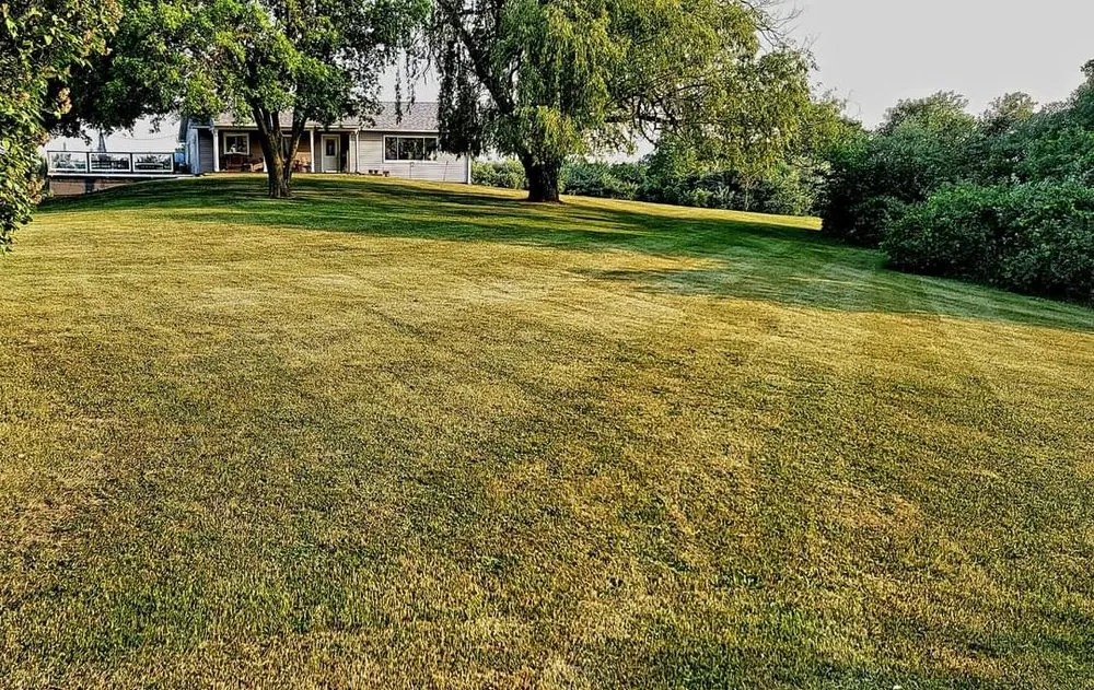 Local lawn care service with custom design in Brown City, MI by Rapid Lawn Maintenance
