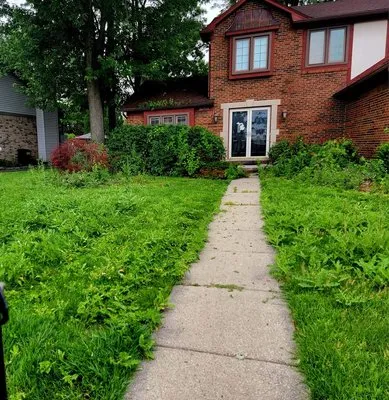 Rapid Lawn Maintenance