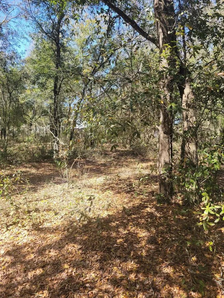 Affordable landscaping services for beautiful yards across Starke, FL - Rapid Rooster Clearing