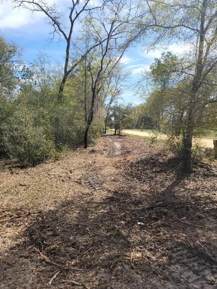 Top-rated yard cleanup service in Starke, FL - Rapid Rooster Clearing