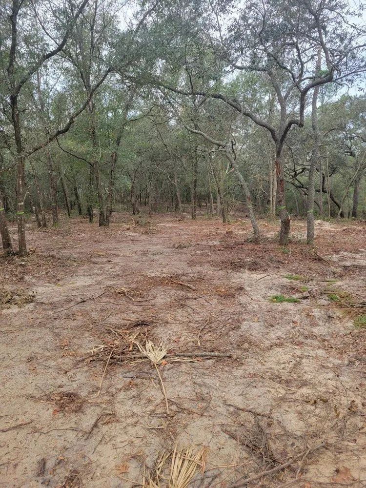 Local yard maintenance in Starke, FL - Rapid Rooster Clearing