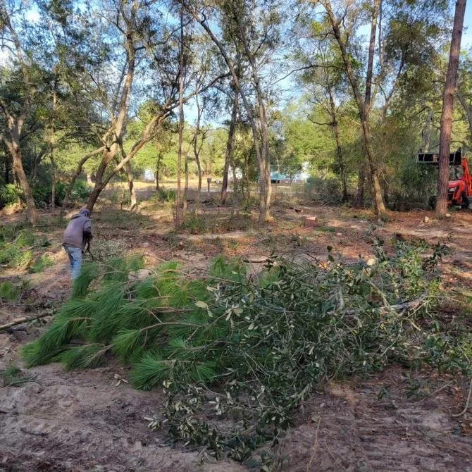 Affordable lawn mowing service experts serving Starke, FL - Rapid Rooster Clearing