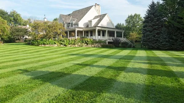 Rapid Roots Lawn Care Services