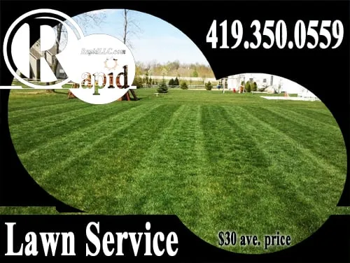 Top-rated yard cleanup service in Toledo, OH by Rapid Steamers