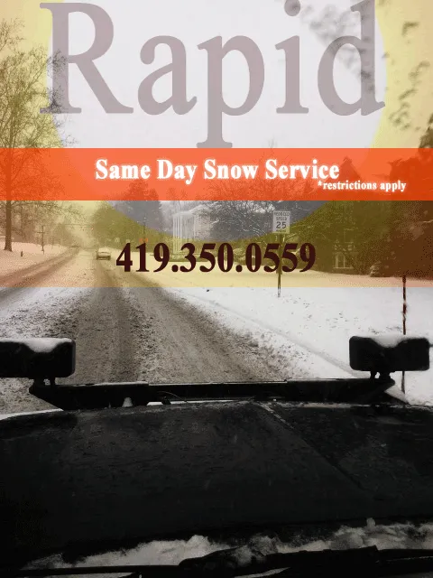 Expert yard cleanup service in Toledo, OH - Rapid Steamers
