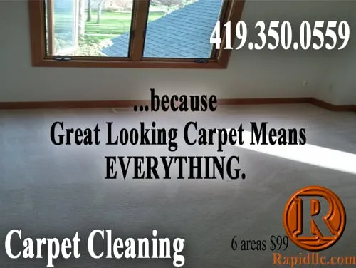 Local outdoor landscaping for year-round maintenance across Toledo, OH - Rapid Steamers