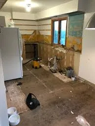 Reliable lawn care service in Marysville, WA - Rapid Tradesmen Service's