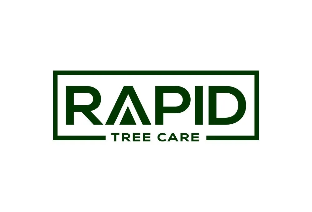 Trusted residential landscaping for year-round maintenance in Henderson, NV by Rapid Tree Care