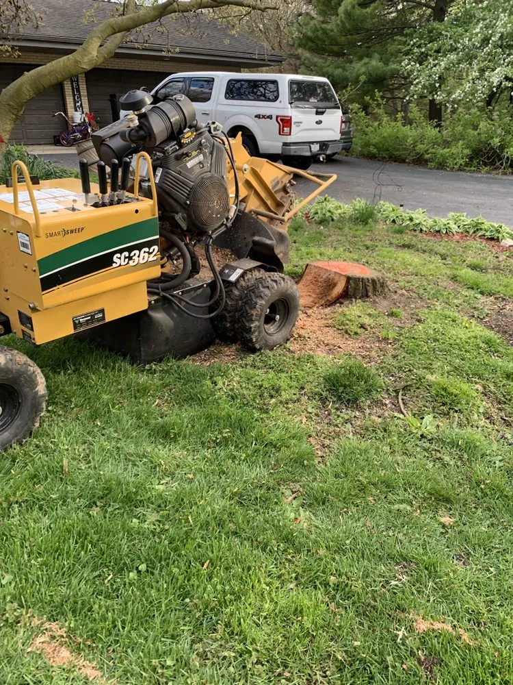 Custom lawn care service for beautiful yards across Joliet, IL - Rapid Tree Service & Landscape