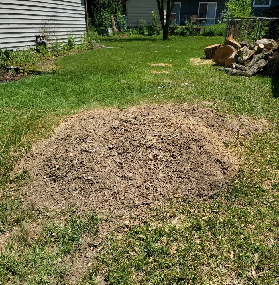 Top-rated yard maintenance for beautiful yards in Joliet, IL by Rapid Tree Service & Landscape