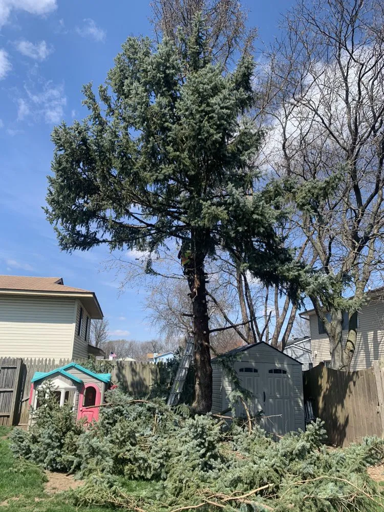 Expert yard maintenance for year-round maintenance across Joliet, IL - Rapid Tree Service & Landscape