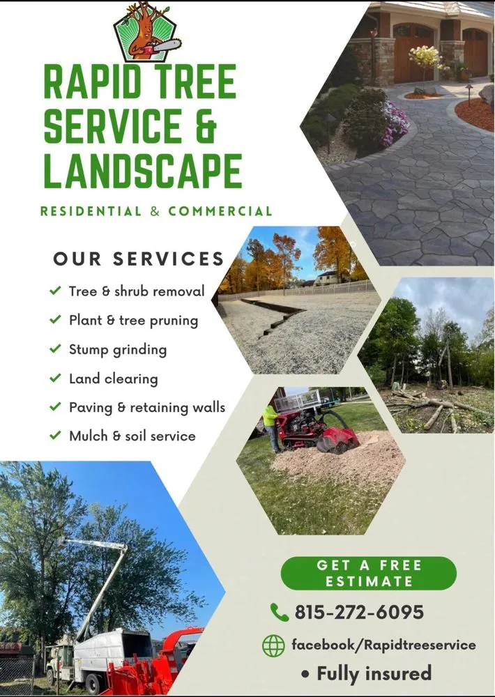 Reliable lawn care service for year-round maintenance in Joliet, IL by Rapid Tree Service & Landscape