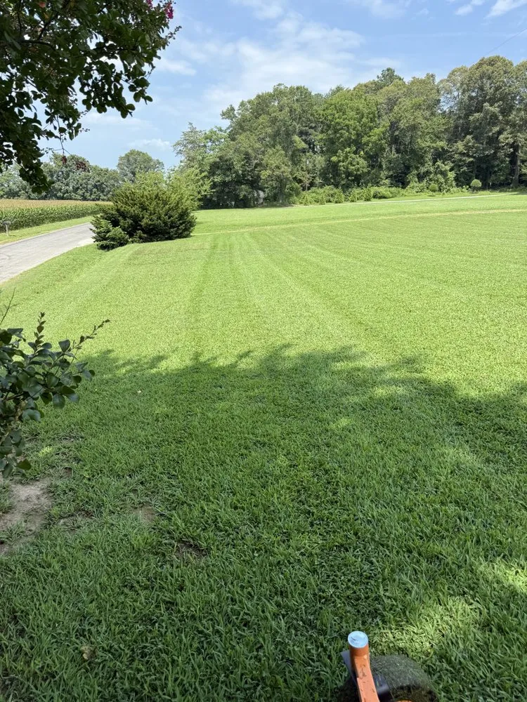 Professional lawn mowing service in King George, VA by Rappahannock Green