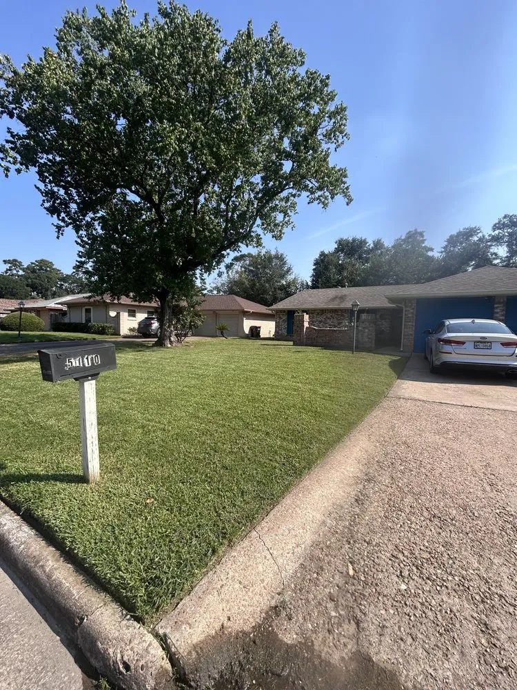 Trusted residential landscaping experts serving Houston, TX - Raptor Landscaping