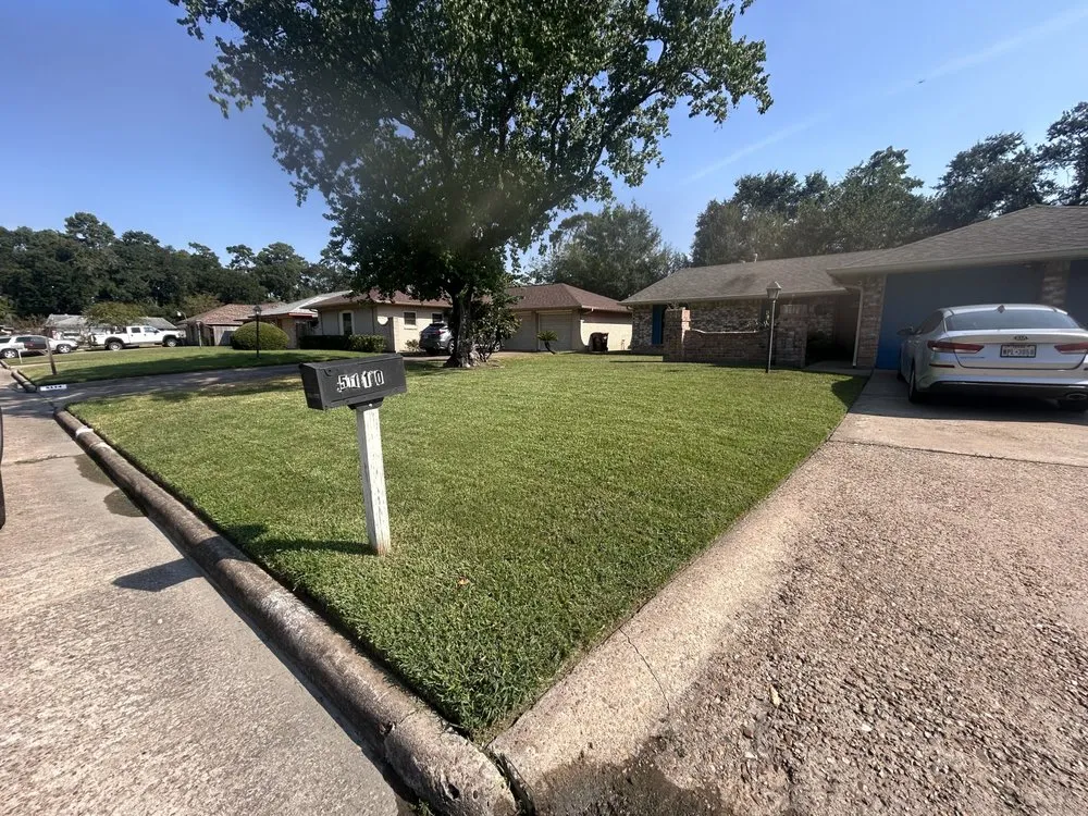 Expert landscape installation experts serving Houston, TX - Raptor Landscaping