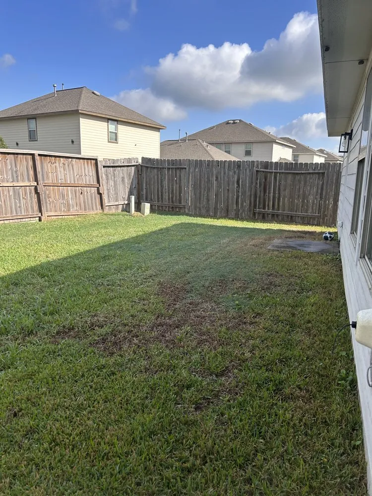 Expert lawn mowing service with custom design in Houston, TX by Raptor Landscaping
