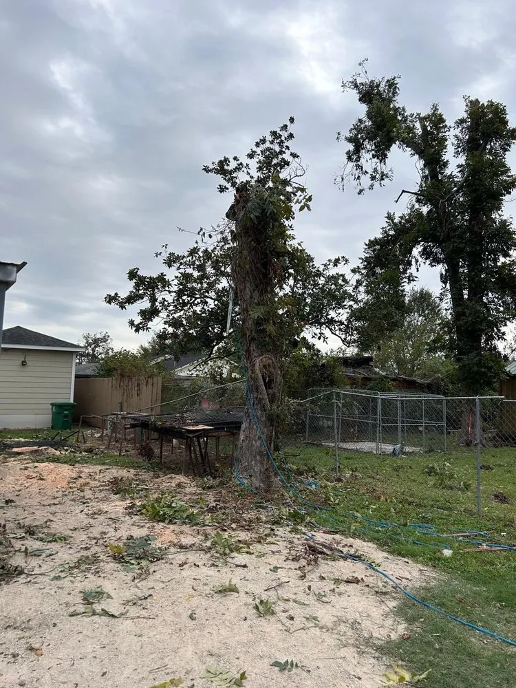 Expert garden landscaping in Houston, TX by Raptor Landscaping