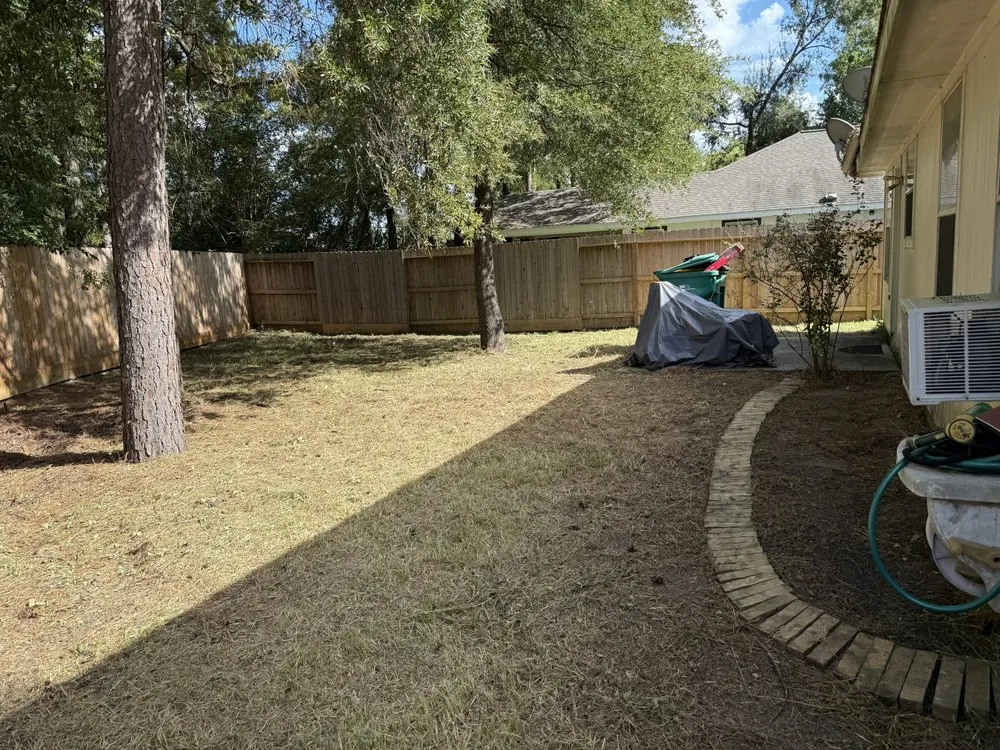 Reliable yard maintenance in Houston, TX - Raptor Landscaping