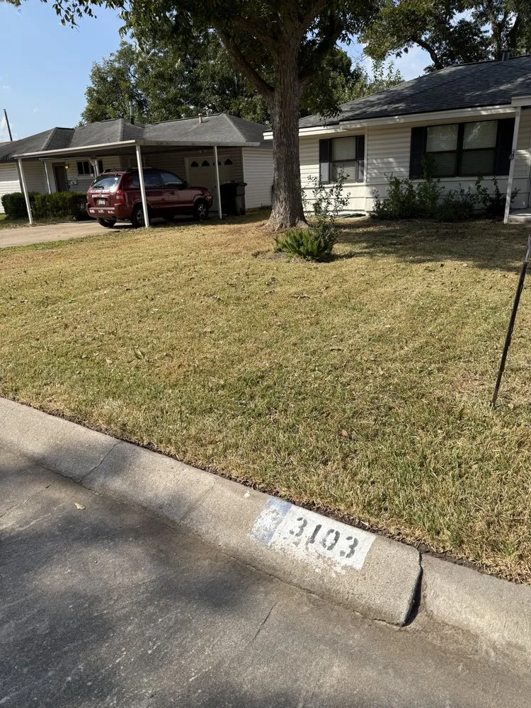 Local outdoor landscaping in Houston, TX by Raptor Landscaping