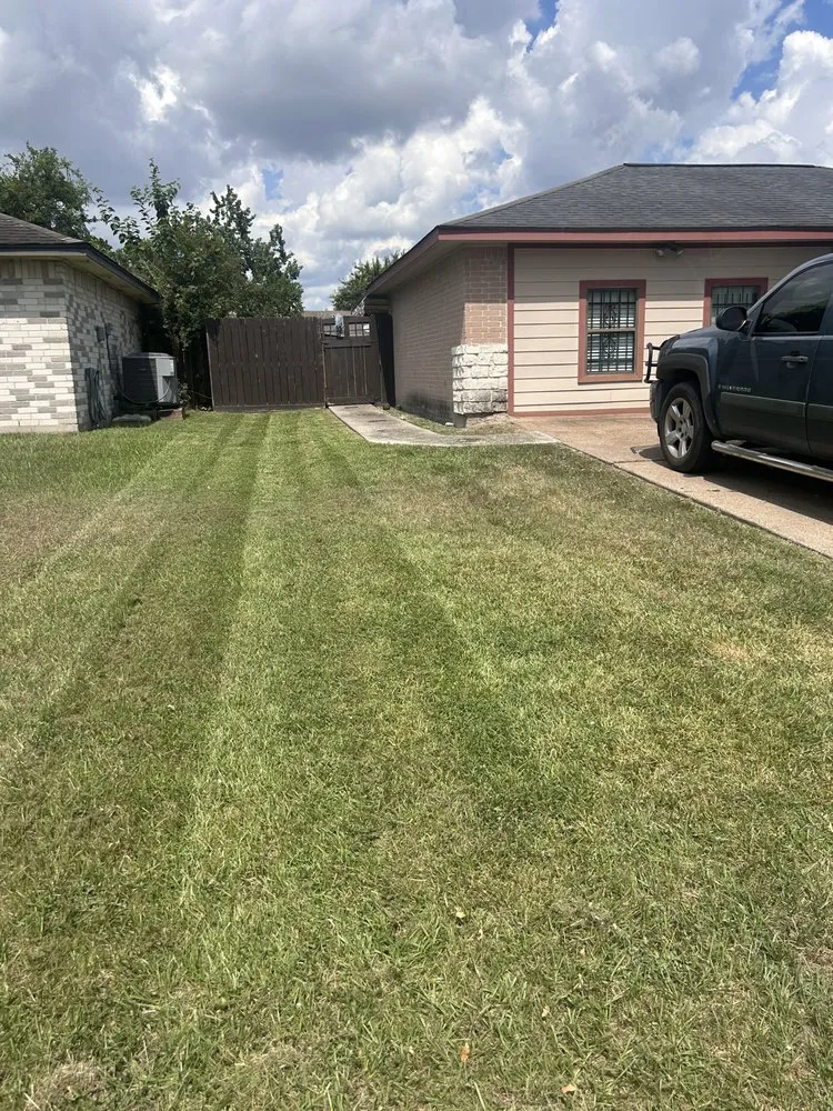 Custom landscaping services experts serving Houston, TX - Raptor Landscaping