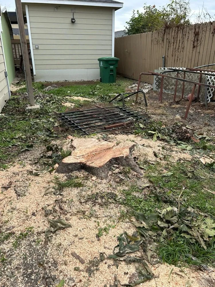 Reliable outdoor landscaping for beautiful yards in Houston, TX by Raptor Landscaping