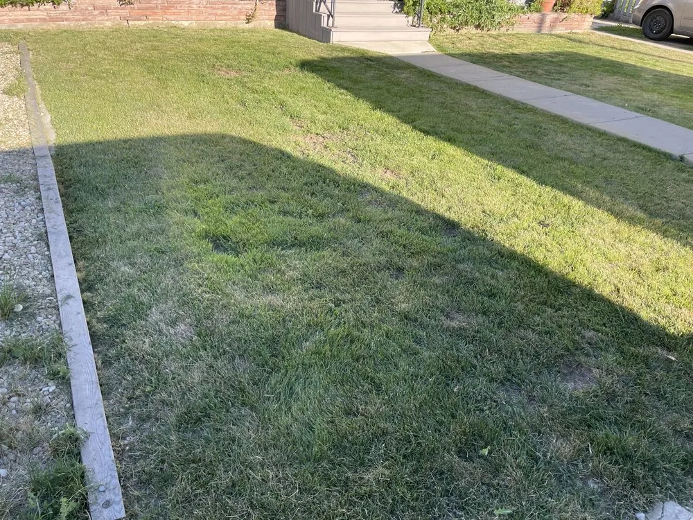 Affordable landscape installation for year-round maintenance in Nampa, ID by Raptor Landscaping