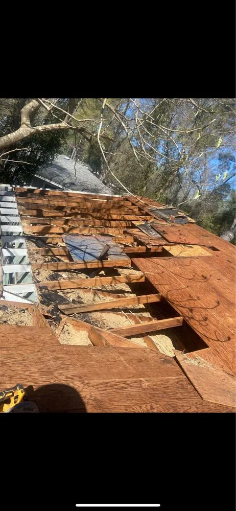 Expert landscape installation with custom design across Hattiesburg, MS - Raptor Restoration