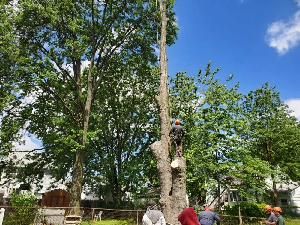 Professional outdoor landscaping in Brick, NJ - Raptors Tree Service & Landscaping