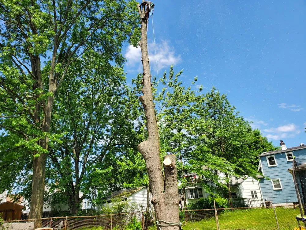 Local landscaping services experts serving Brick, NJ - Raptors Tree Service & Landscaping