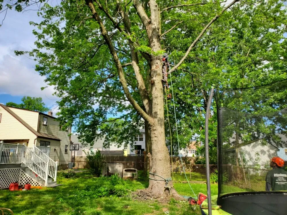 Affordable landscape installation for beautiful yards across Brick, NJ - Raptors Tree Service & Landscaping