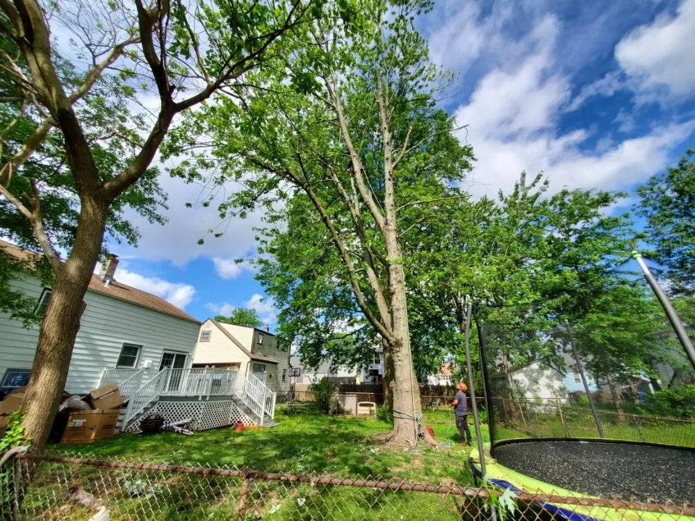 Local garden landscaping in Brick, NJ - Raptors Tree Service & Landscaping